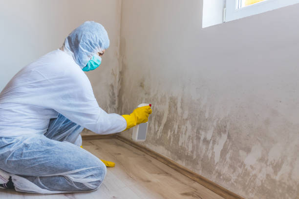 Licensed Mold Remediation service in Gibsonville, NC - 24 Hour Mold Removal