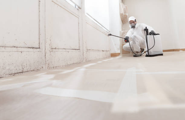 24/7 Emergency Mold Remediation experts in Gibsonville, NC