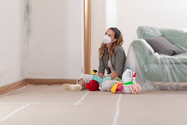 Reliable Mold Remediation contractor in Gibsonville, NC by 24 Hour Mold Removal