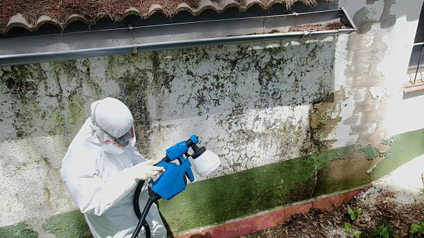 Top rated local Mold Remediation specialists in Gibsonville, NC